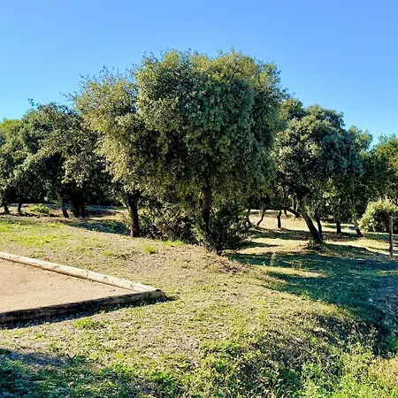 Le Petit Mas, 5 Pers Piscine A Σπίτι διακοπών